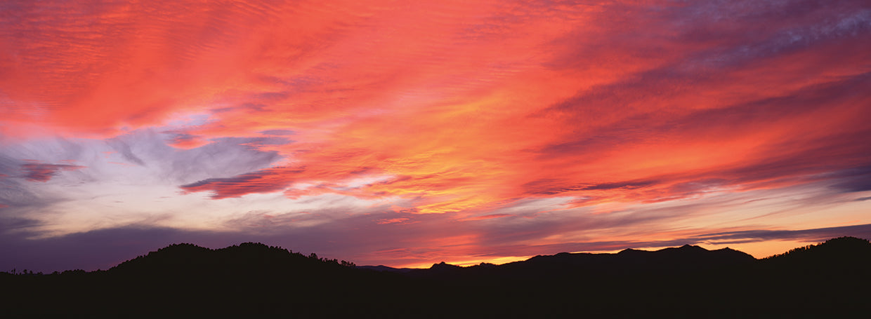 Painted Skies