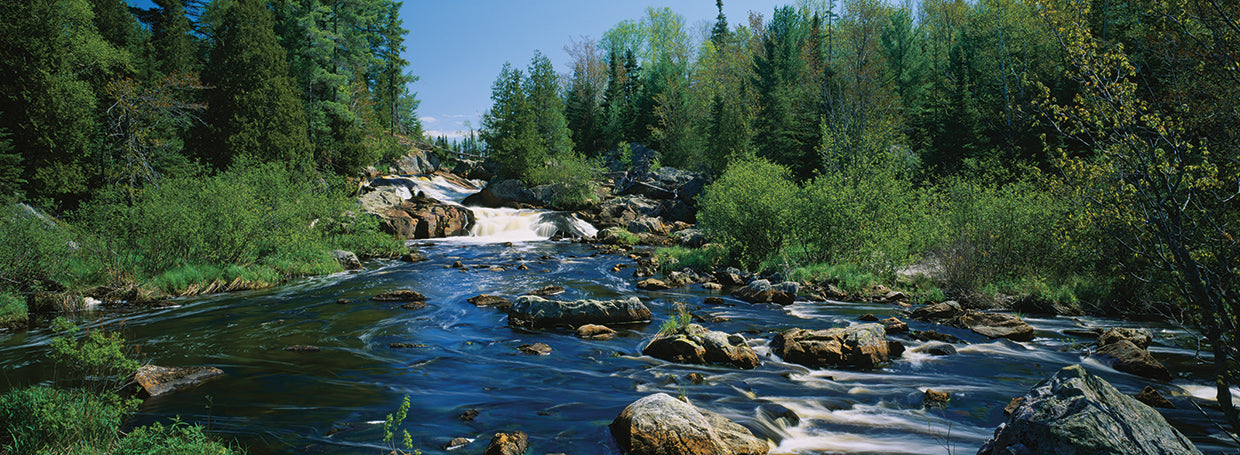 Rápidos de cascada Lienzo