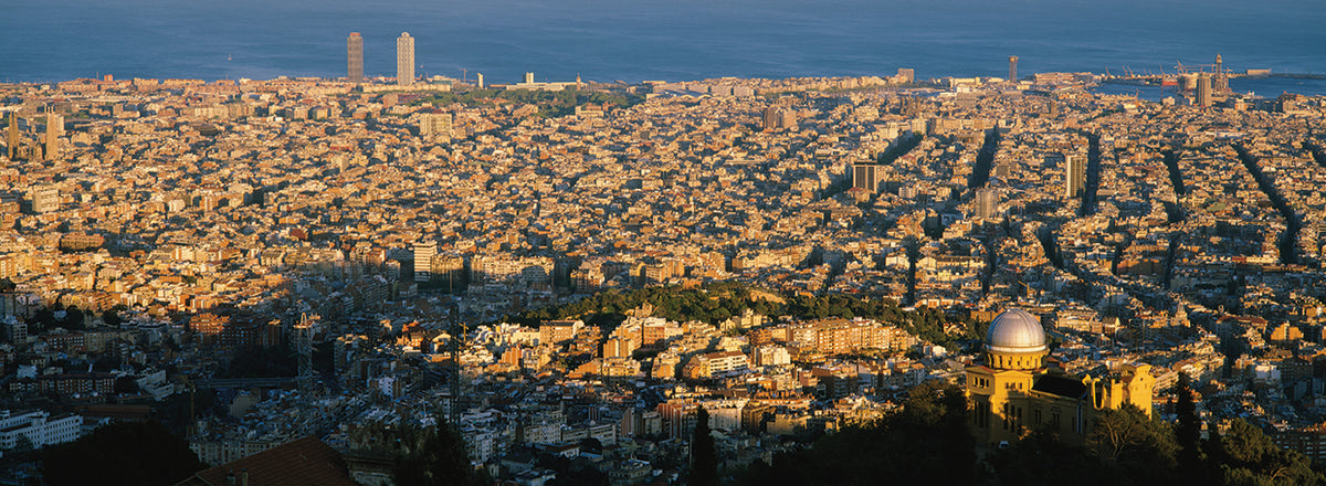 Barcelona Bird's Eye