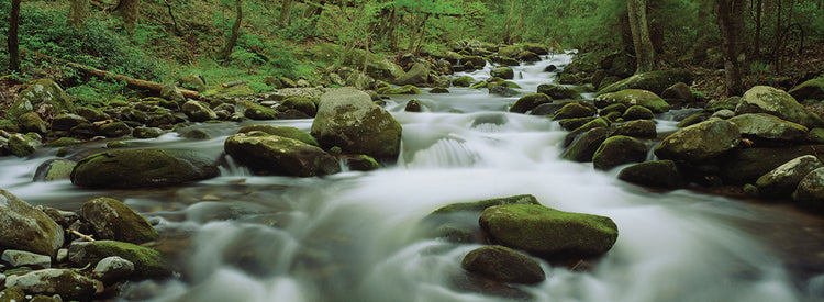 Arroyo de montaña ahumada Lienzo