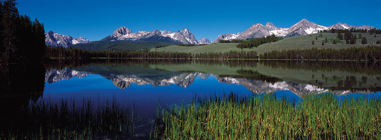 Pequeño lago de gallinetas nórdicas Lienzo
