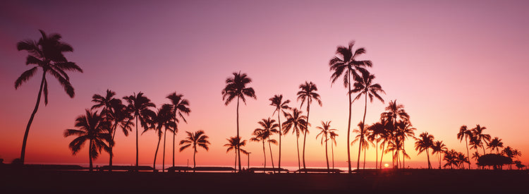 Oahu Sunset