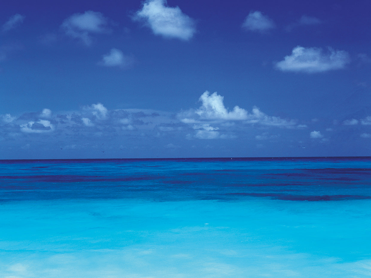 Turquoise Seascape