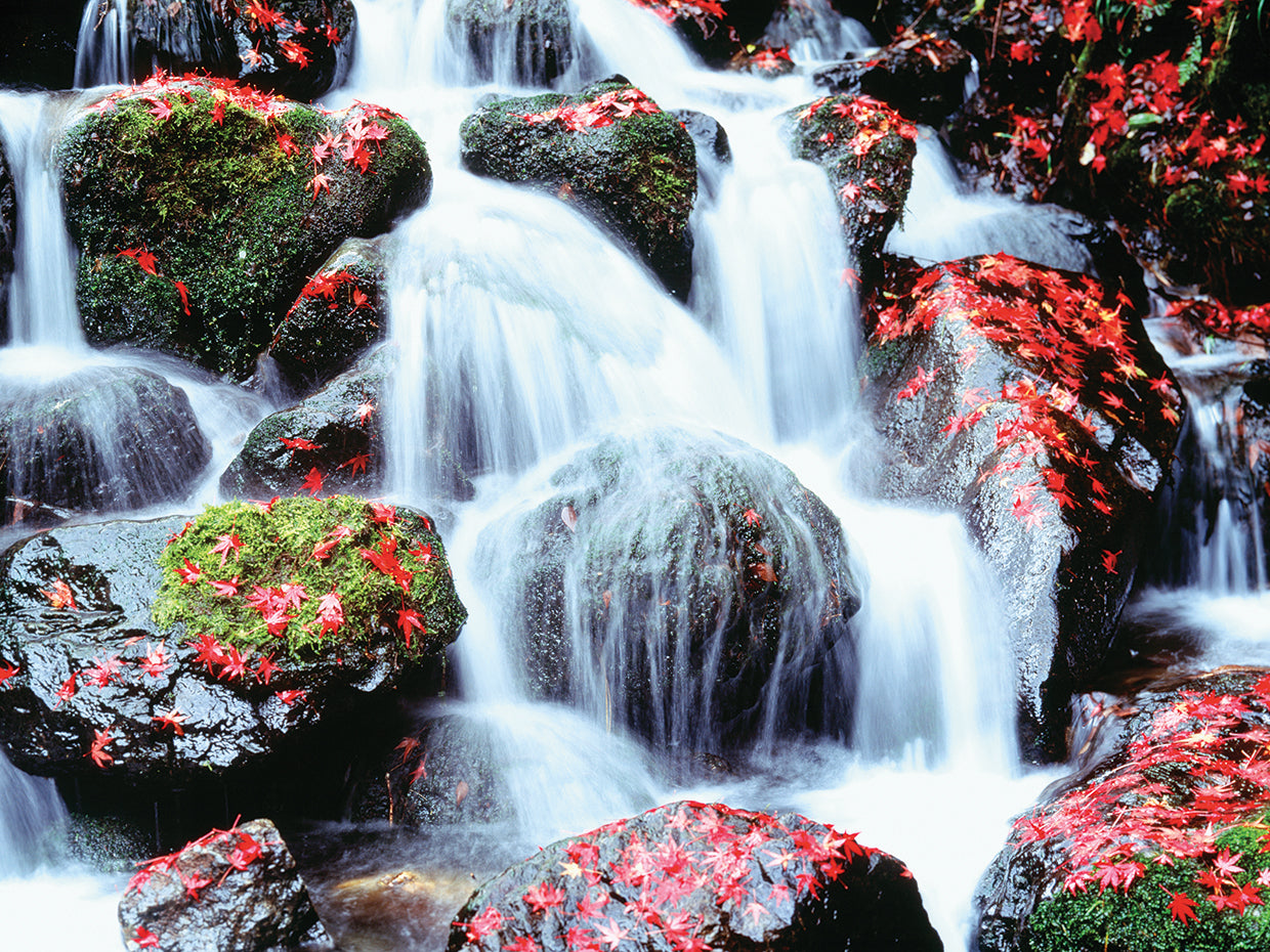 Kyoto Waterfalls