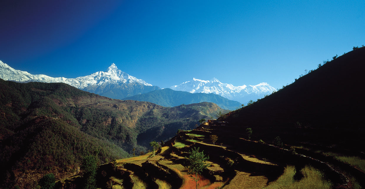 Gama Annapurna Lienzo