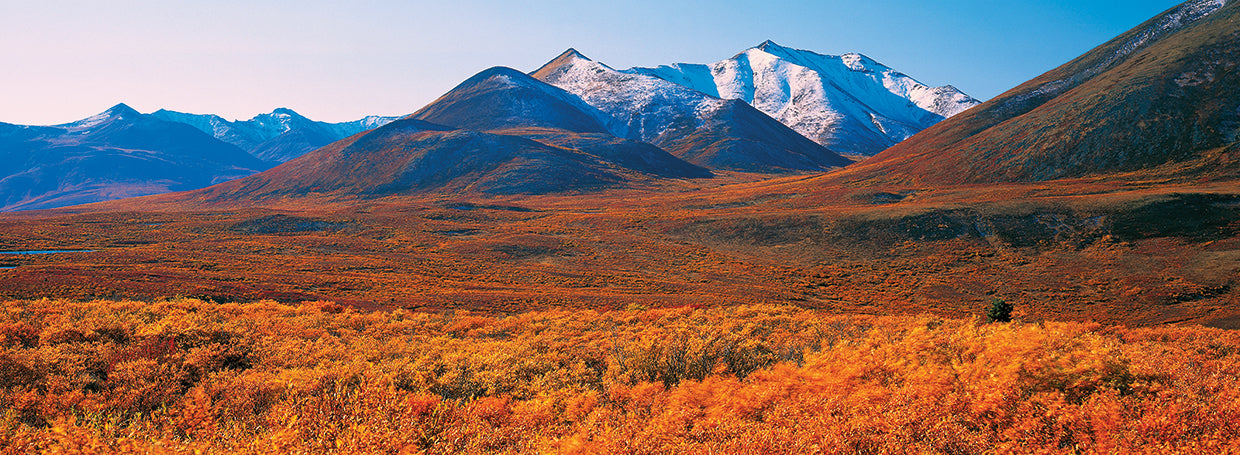 Yukon Mountains