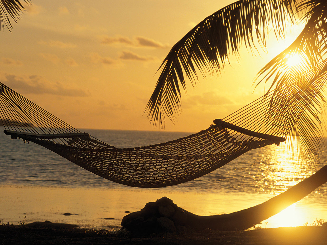 Hammock at Sunset