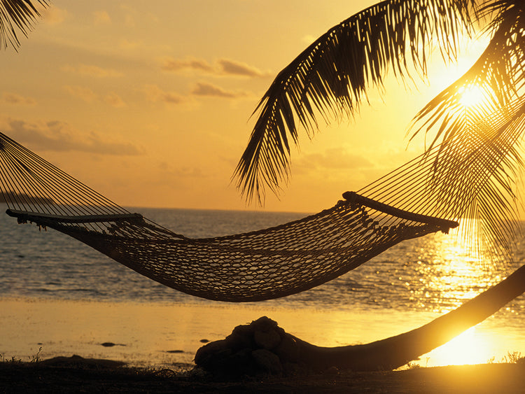 Hammock at Sunset