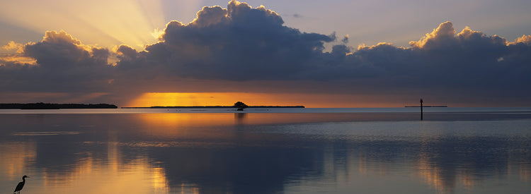 Florida Everglade Dawn