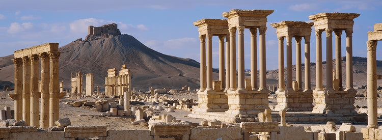 Palmyra