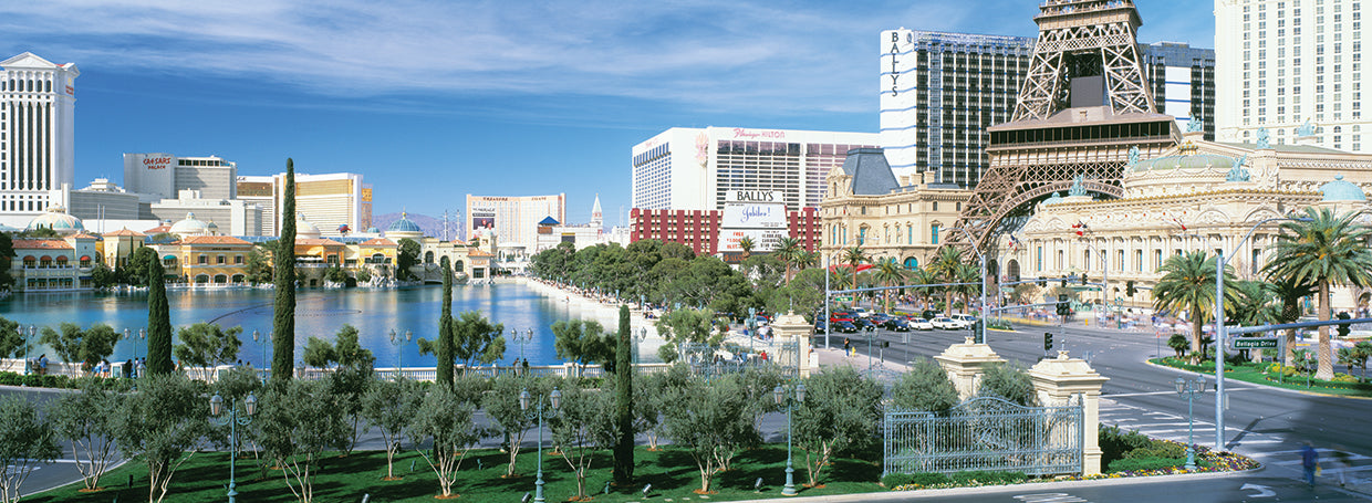 Las Vegas Views