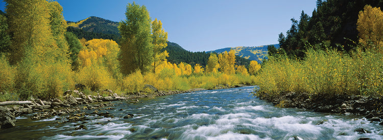 River Flow Colorado