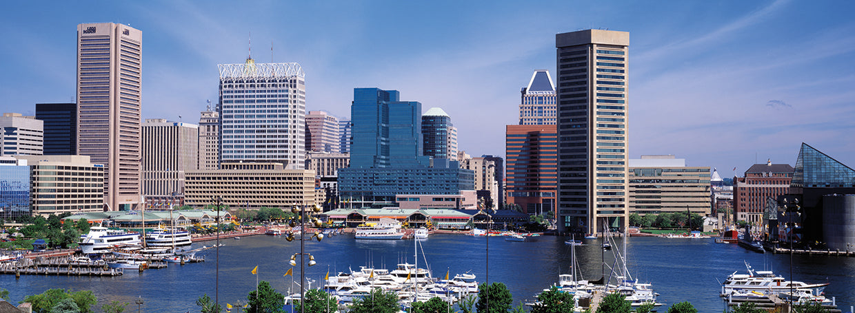 Federal Hill Skyline