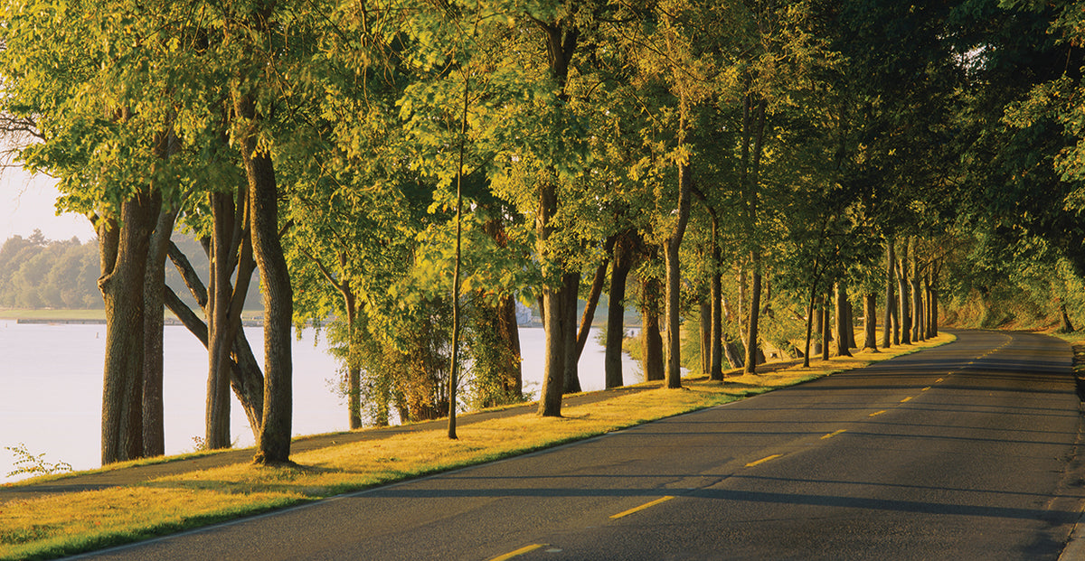 Lake Washington Boulevard