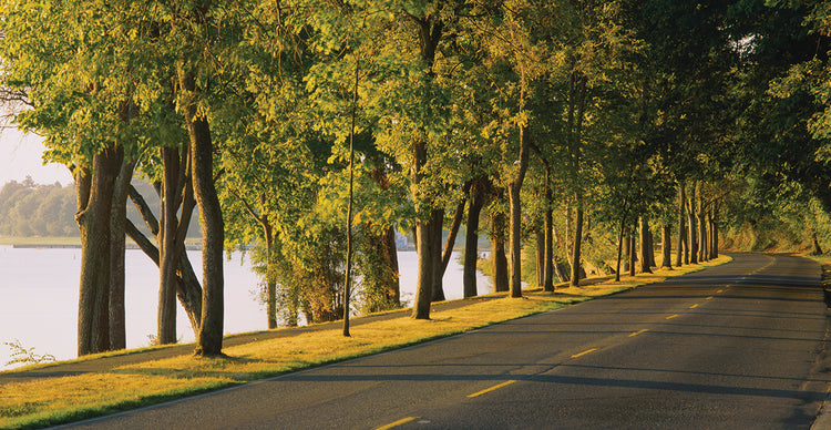 Lake Washington Boulevard