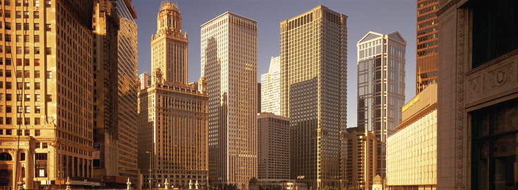 Chicago Cityscape