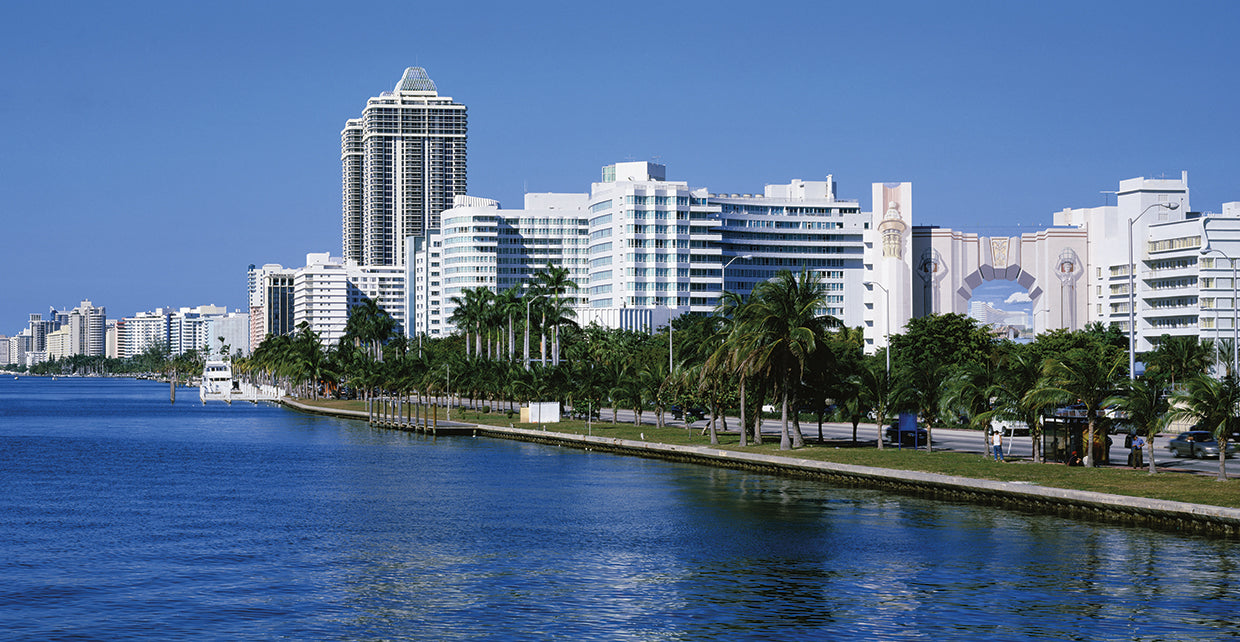 Paseo marítimo de miami Lienzo