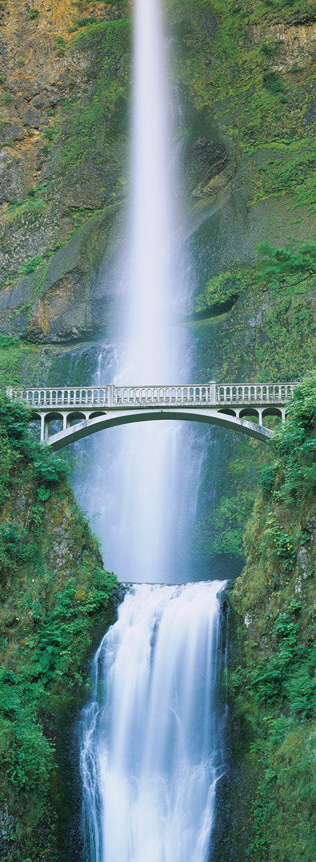 Puente de las cataratas de Multnomah Lienzo