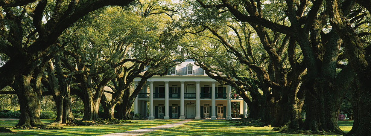 Oak Alley Plantation