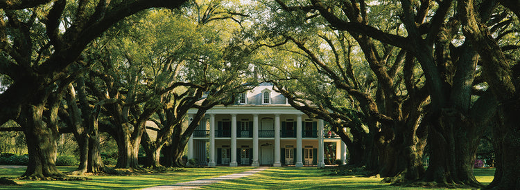 Oak Alley Plantation