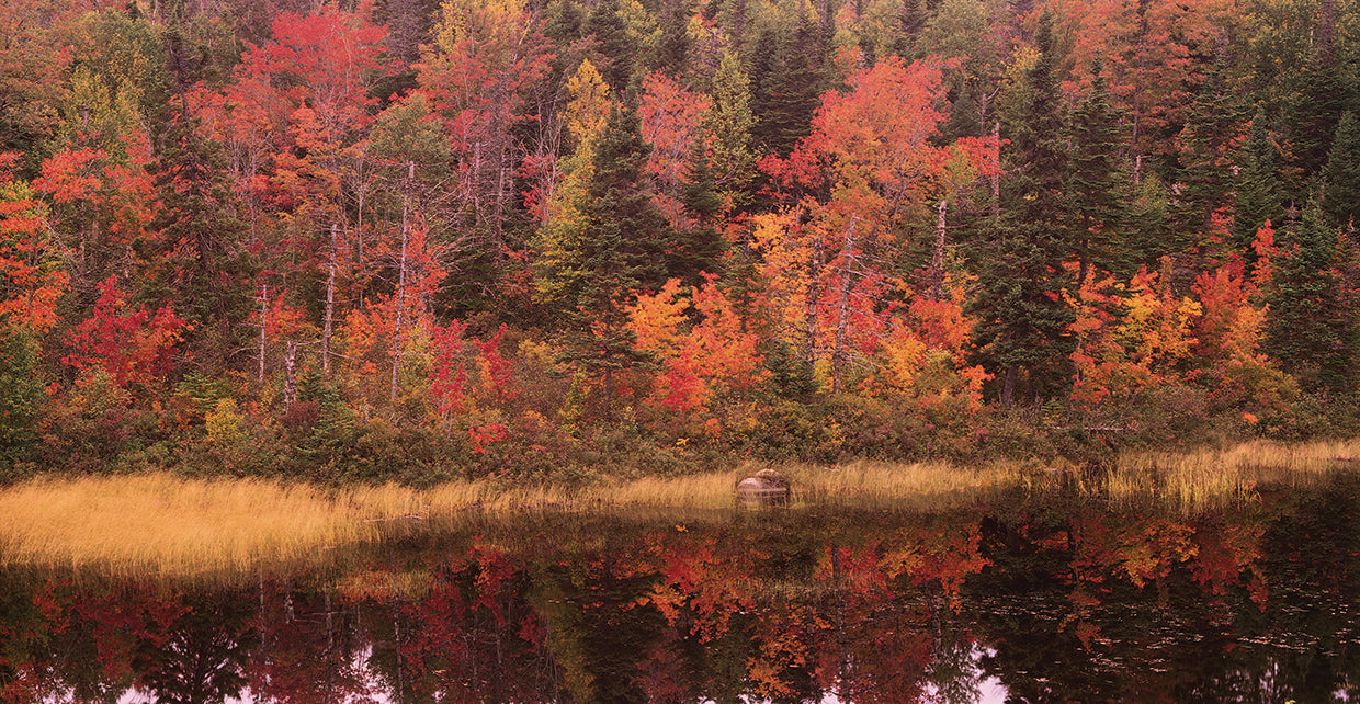 Newfoundland Causeway