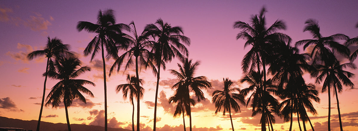 Oahu Silhouettes