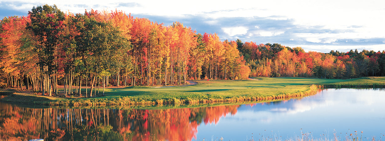 Fall Gold Course