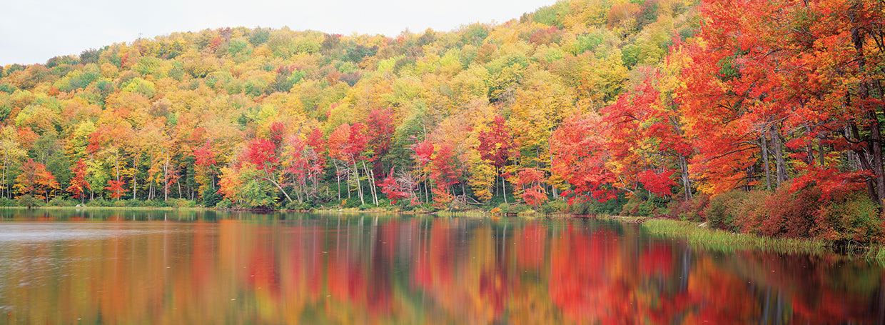 Savoy Mountain State