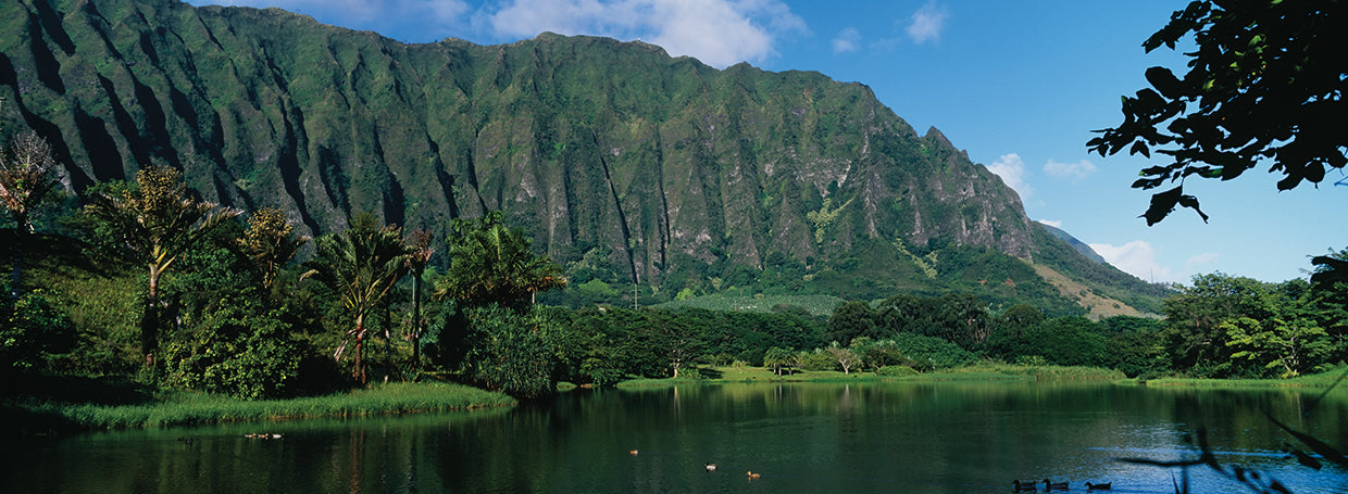Garden Pond, Oahu