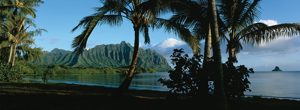 Palmas en la bahía de Kaneohe Lienzo