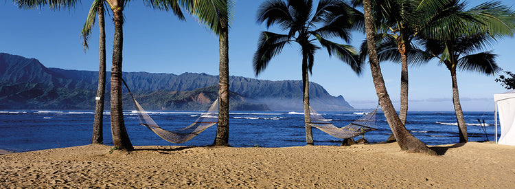 Relajarse en la bahía de Hanalei Lienzo