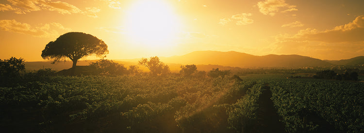 Amanecer en Cote D'azur Lienzo