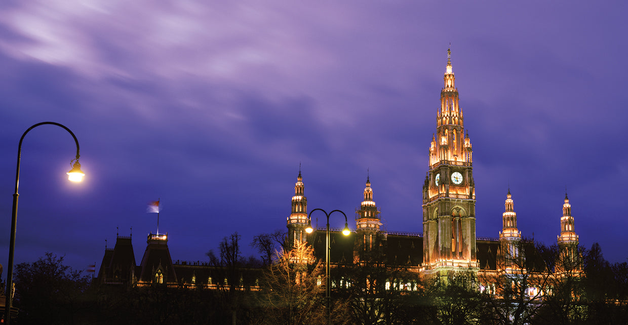 Viena de noche Lienzo