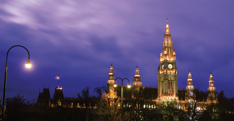 Viena de noche Lienzo