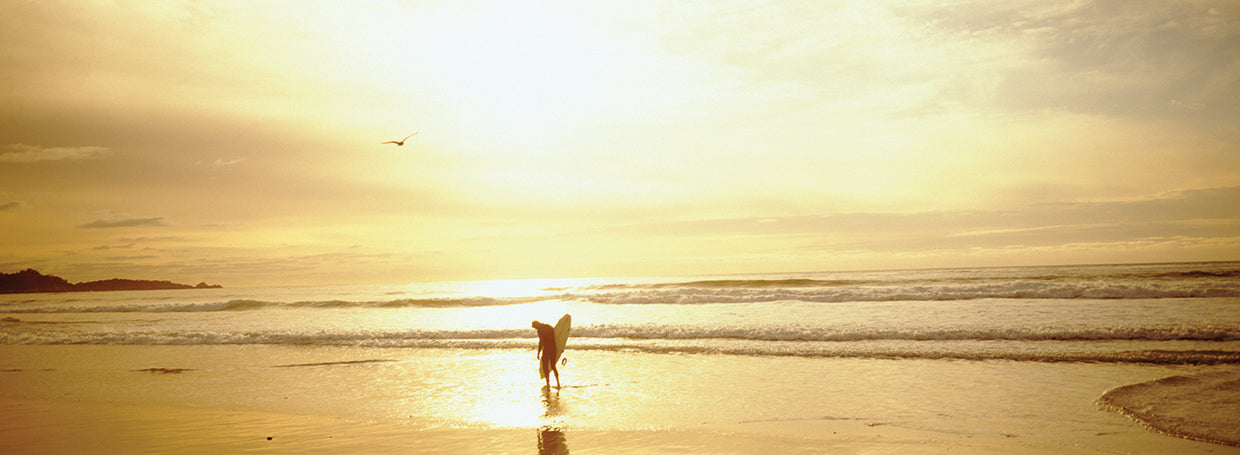 Walking in Carmel Sunset