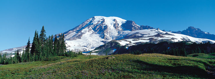 Mount Rainier National Park