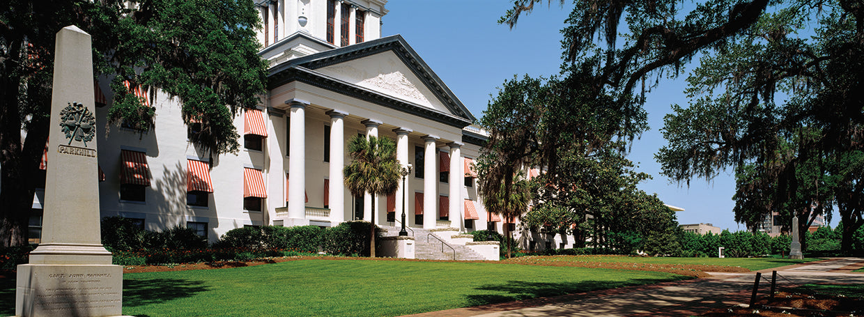 Viejo capitolio de florida Lienzo