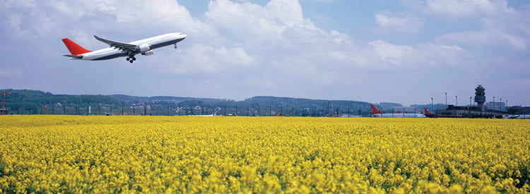 Volando sobre Zurich Lienzo