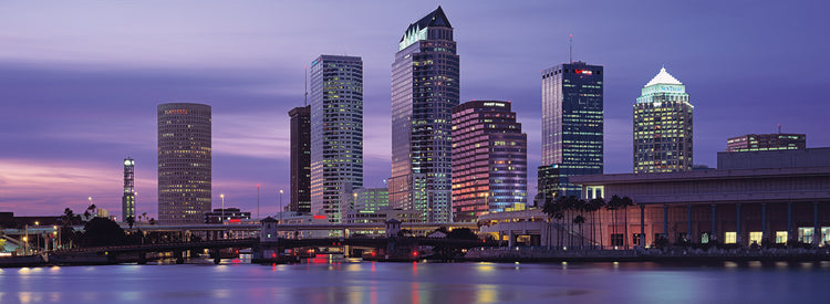 Horizonte urbano de Tampa Lienzo