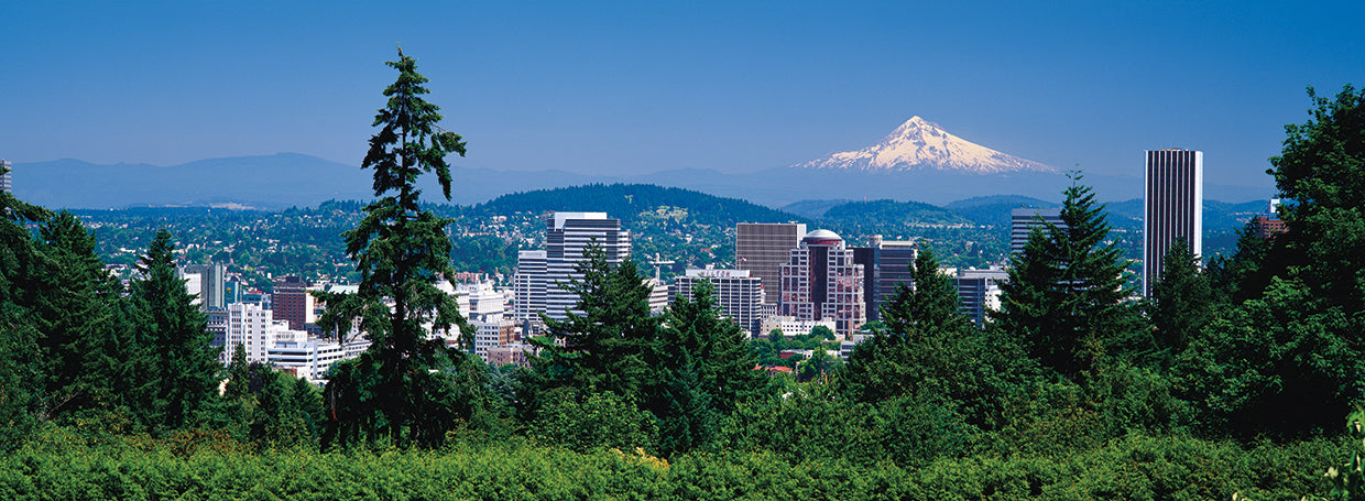 Mt Hood sobre Portland Lienzo