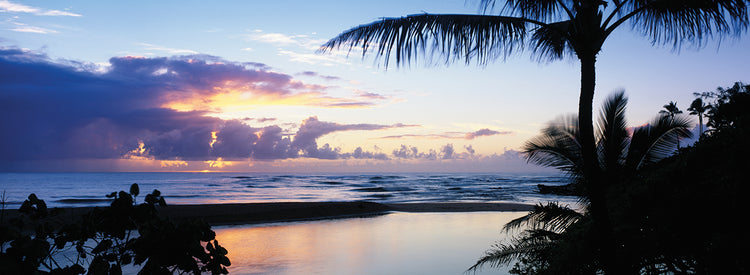 Palmera sobre la bahía de Wailua Lienzo