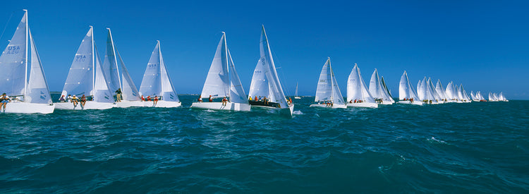 Sailors Racing in Florida