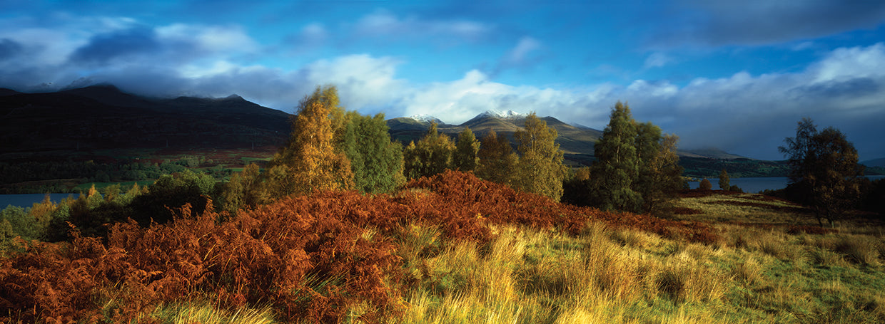 Campos de Escocia Lienzo