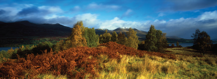 Campos de Escocia Lienzo