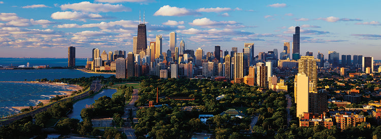 Densidad de Chicago Lienzo