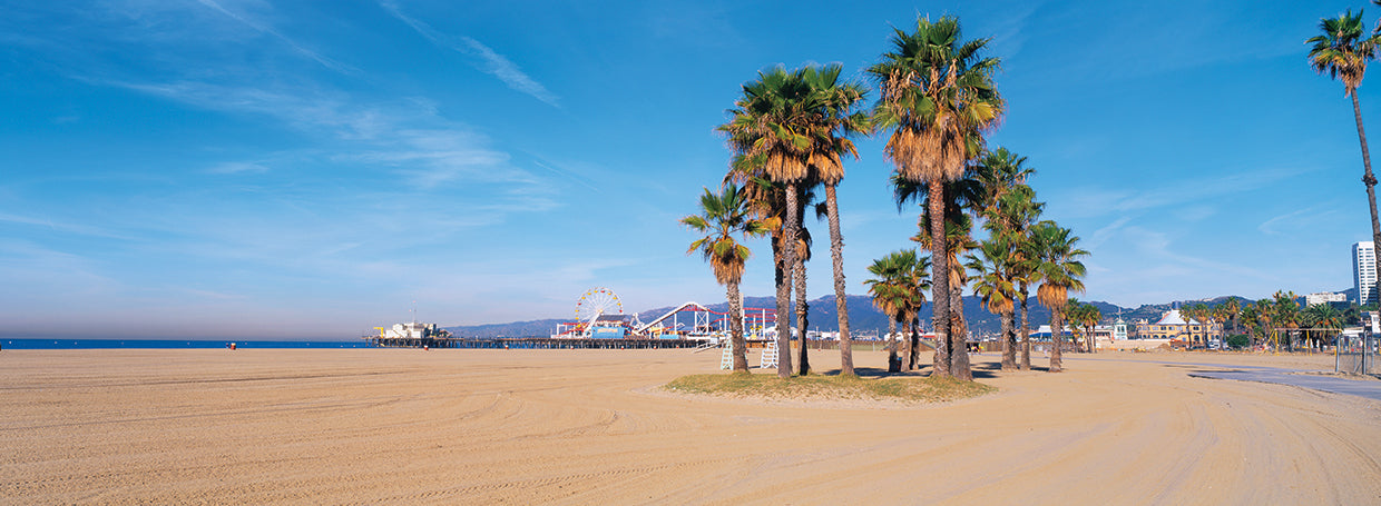 Santa Monica Beach Day