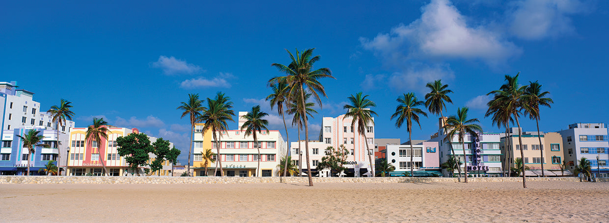 Palms on Miami Beach