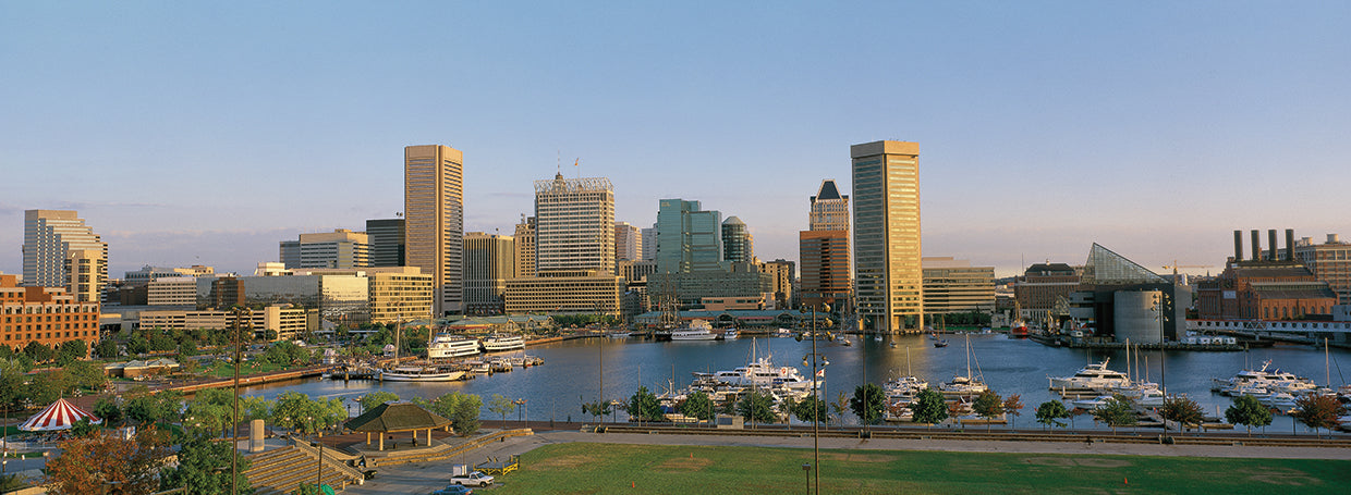 Días de baltimore Lienzo