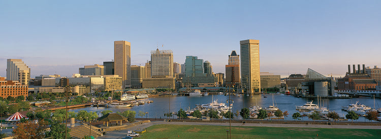 Días de baltimore Lienzo