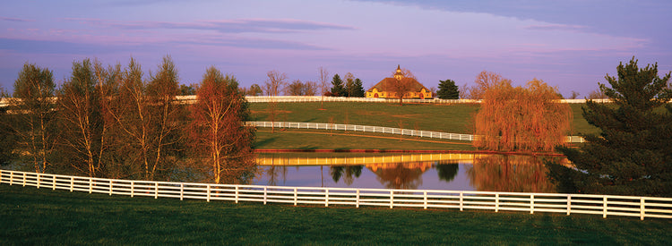 Donamire Farm Sunset
